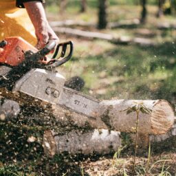 Logger using a chainsaw to cut timber.