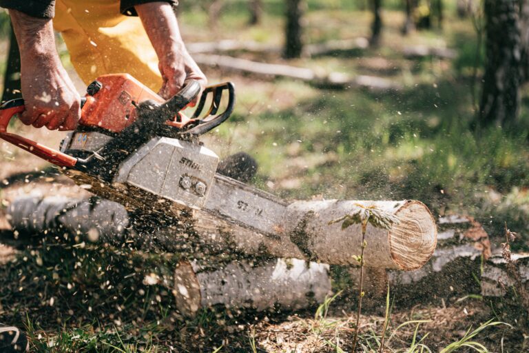 Logger using a chainsaw to cut timber.
